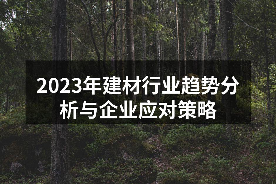 2023年建材行业趋势分析与企业应对策略